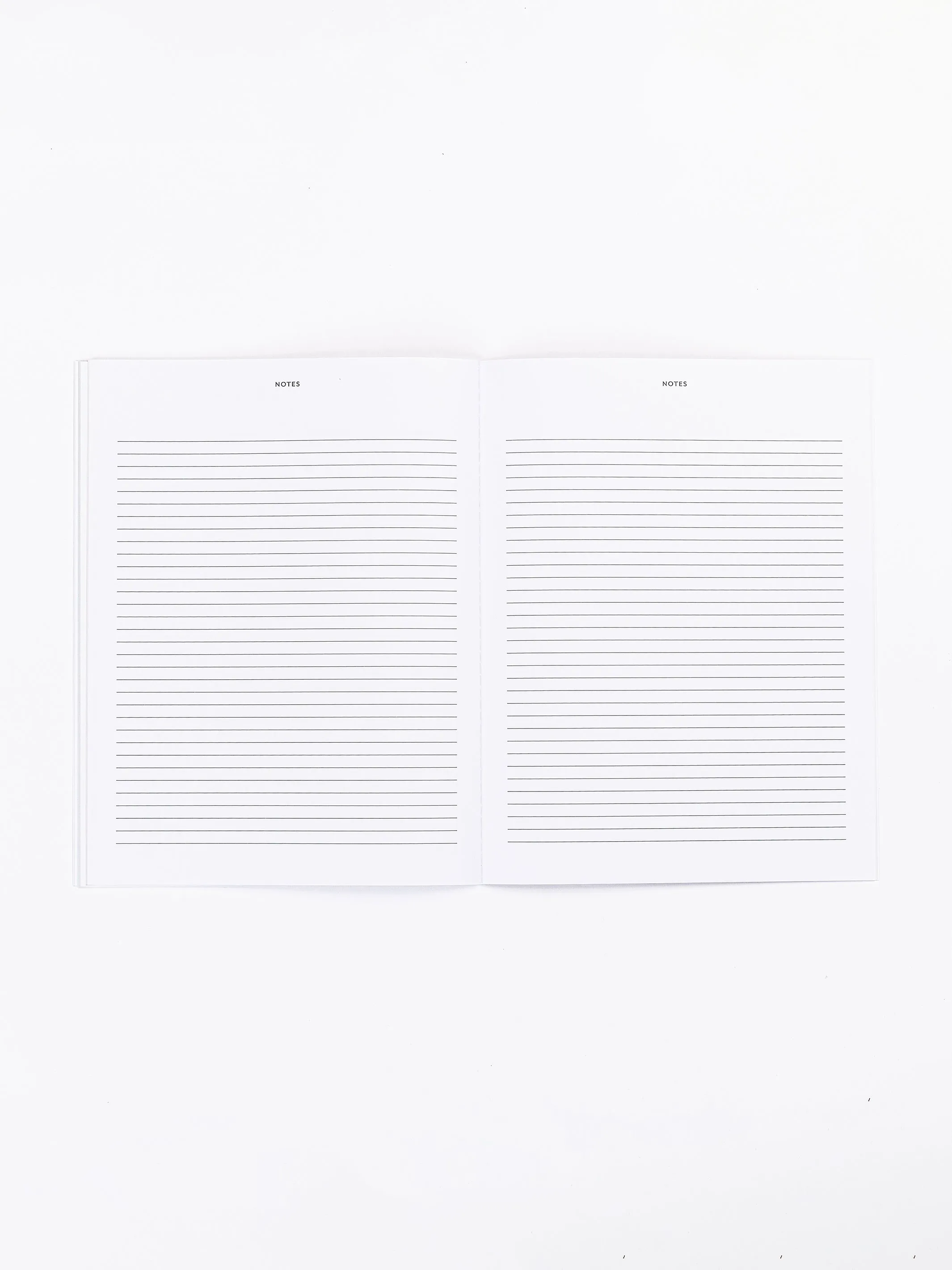 FINAL SALE - 2024 Large Monthly Planner | Little Star Blue