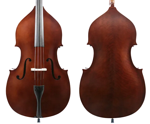 Virtuoso Double Bass Outfit